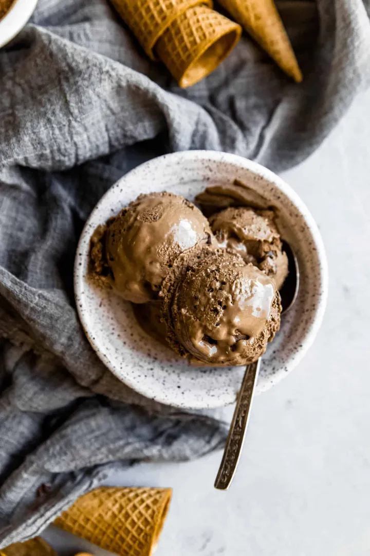 Chocolate Chip Ice Cream