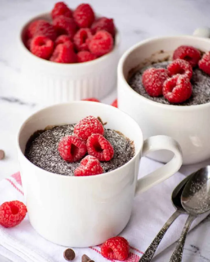 Chocolate Paleo Mug Cake