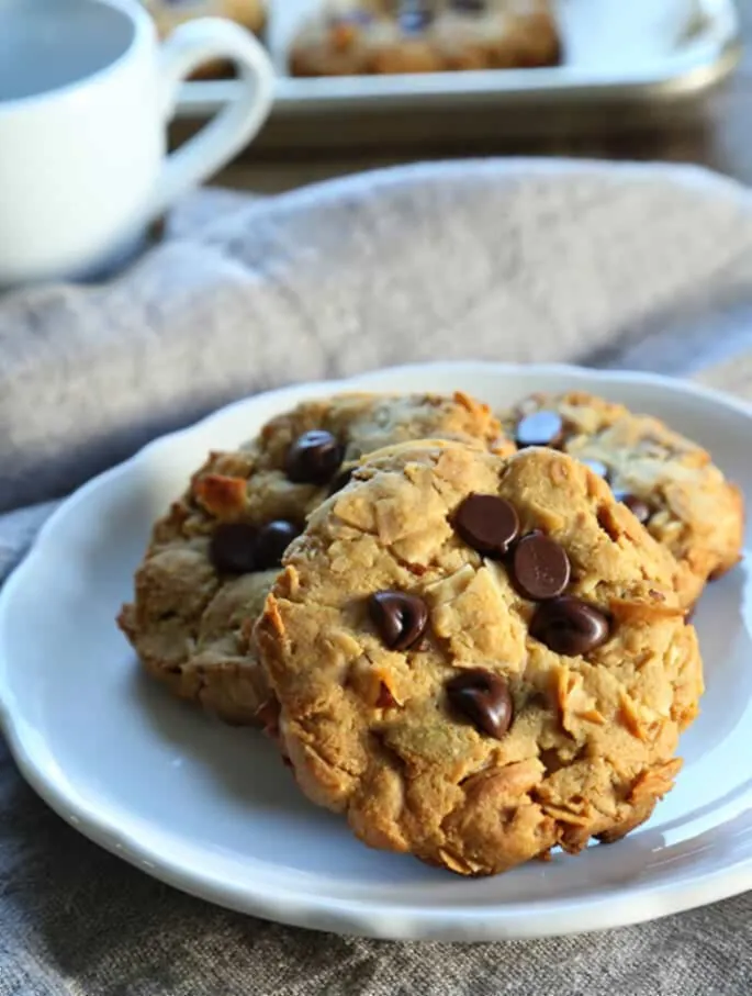 Paleo Breakfast Cookies (Grain-Free and Dairy-Free)