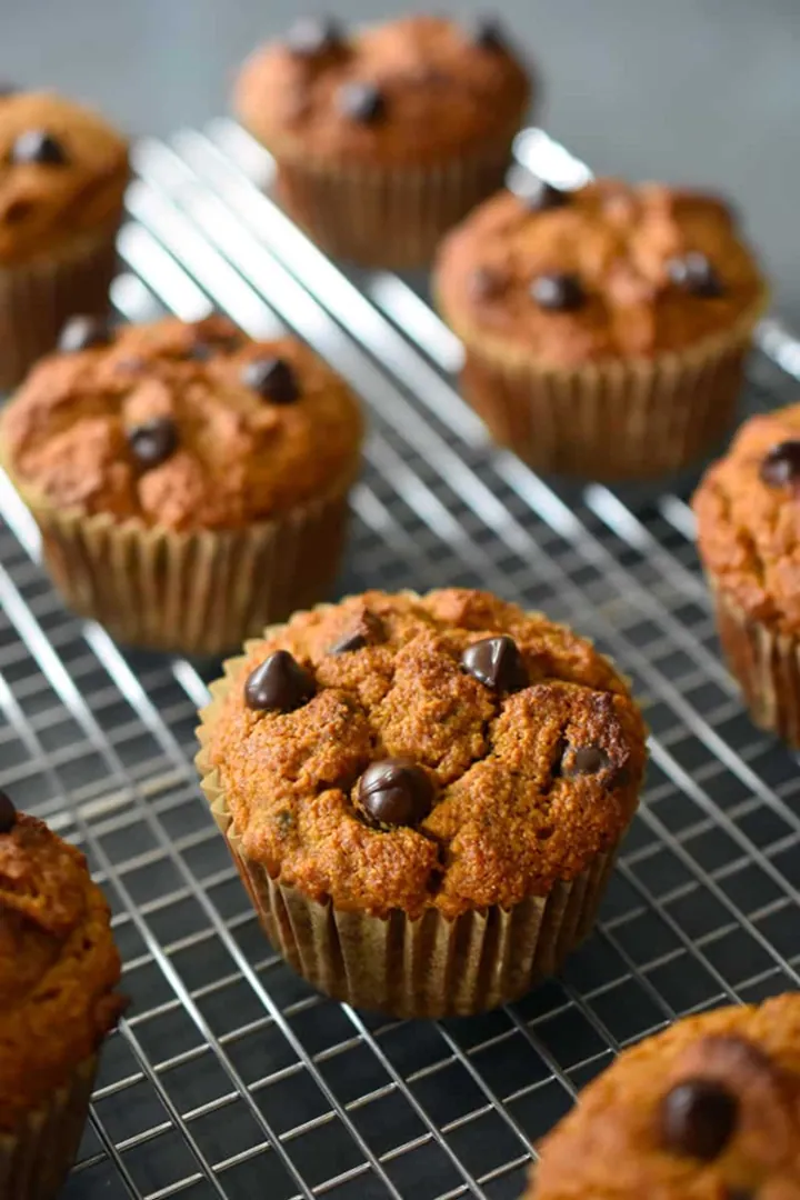 Pumpkin Chocolate Chip Muffins